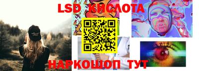 прущие грибы Кунгур