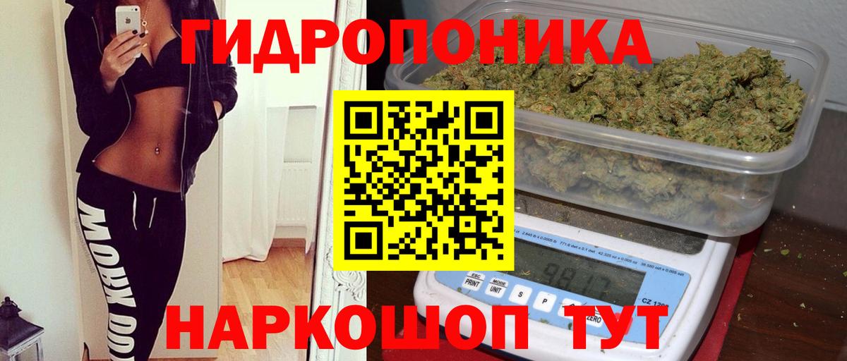 МАРИХУАНА сатива Видное